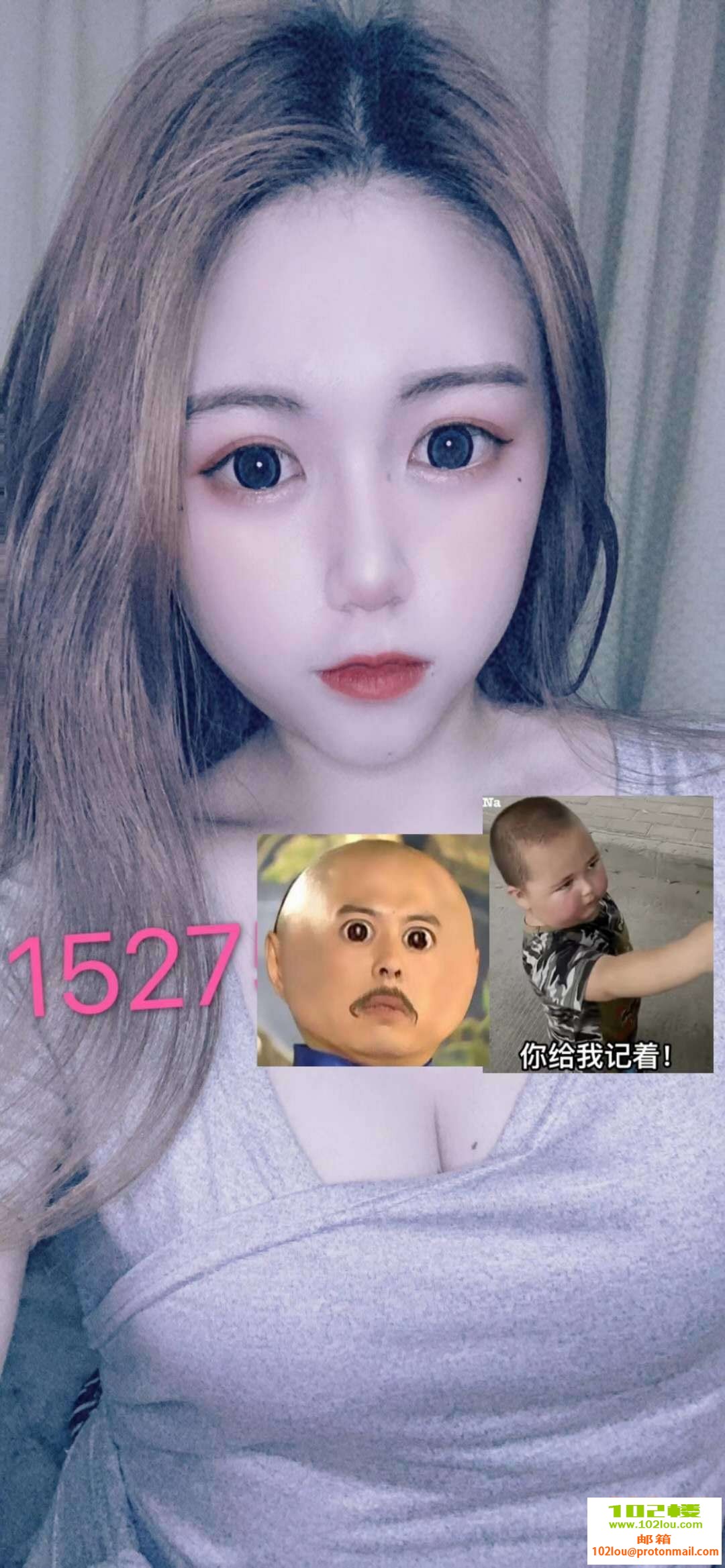 031354petdctcunocddcqn.jpg