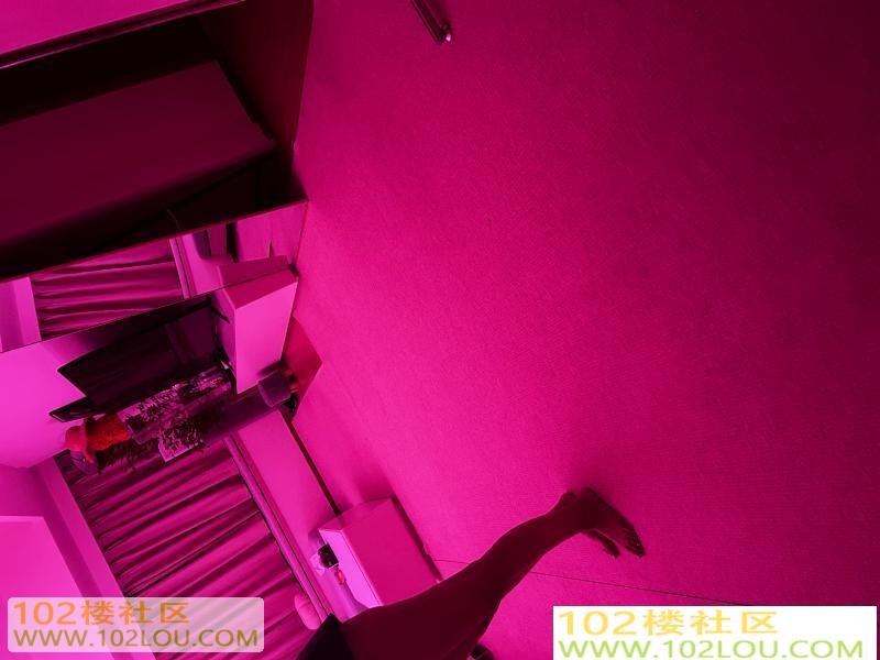 52af3338-3945-49a7-97ed-e75f6d8a739d.jpeg
