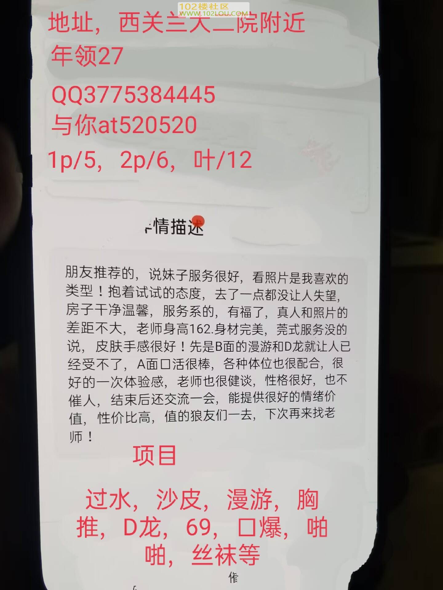 项目.jpg