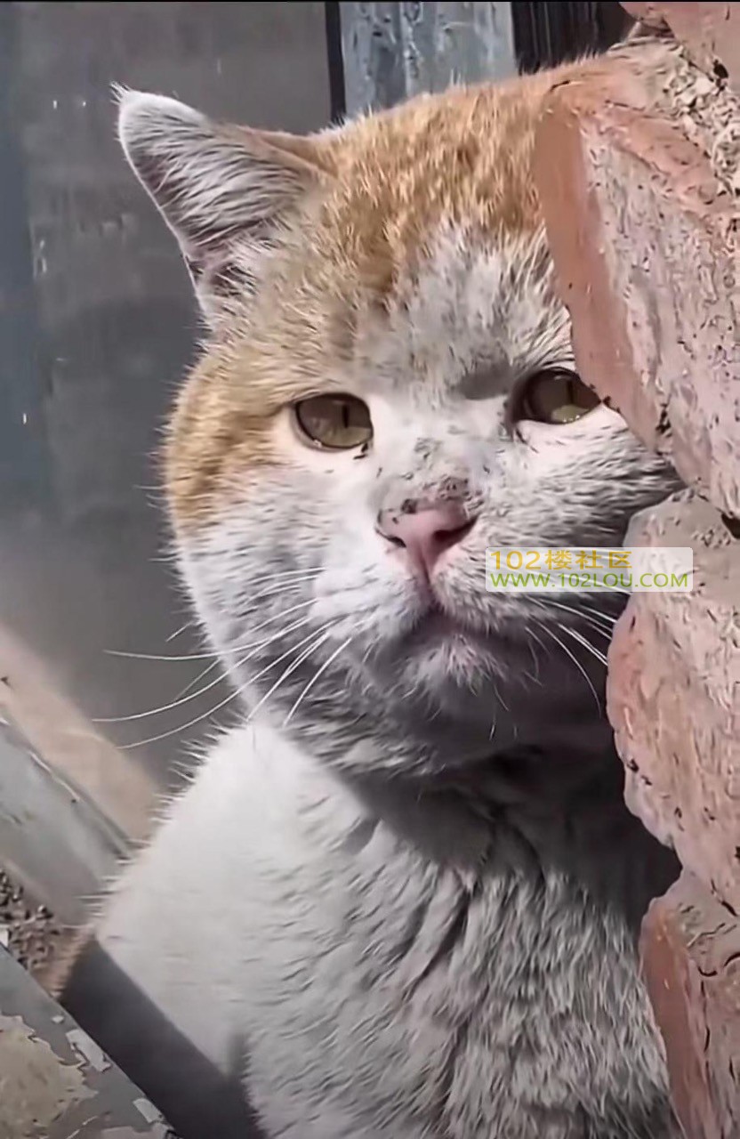 IMG_8802.jpeg